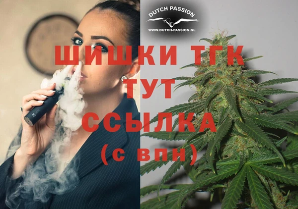 амф Касимов