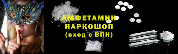амф Касимов
