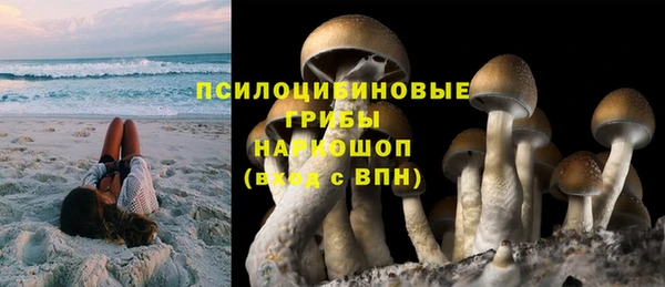 mix Карпинск