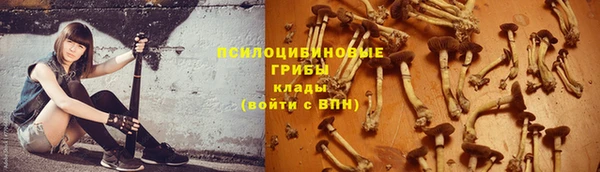 mix Карпинск