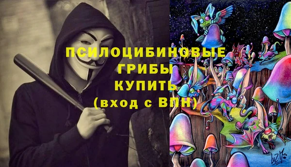 амф Касимов