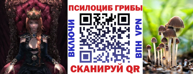 Псилоцибиновые грибы Psilocybe  как найти закладки  Северск 