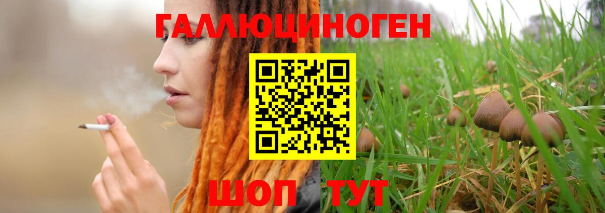 Псилоцибиновые грибы MAGIC MUSHROOMS  Галлюциногенные грибы Cubensis  купить  сайты  Вход с VPN  Северск 